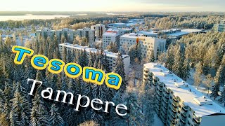 Talvihetki. Tesoma Tampere / зимний момент