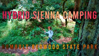 Hybrid Sienna Camping Humbolt Redwood State Park 2022