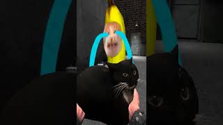 Bananacat Found Friends #gmod 😸🍌