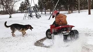 Meilleur hiver drôles des enfants adorables et  les animaux mignons