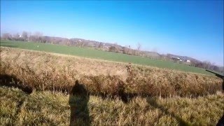 chasse au chien d'arrêt saison 2015 à l'épagneul breton - vidéo n°2