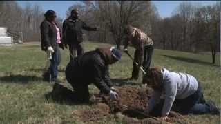 Planting Trees for a Cleaner Chesapeake Bay