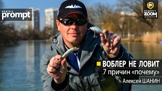 Воблер не ловит. 7 причин «почему»  Алексей Шанин. Anglers Prompt