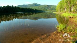 Randonnée vers le lac Frolikha avec BaikalNature