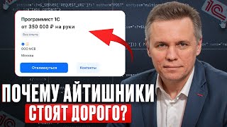 За что IT-специалистам СТОЛЬКО платят? / Почему внедрение IT-систем так дорого?