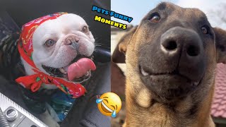 Funny Animal Videos   Try Not To Laugh Challenge ! Part 4