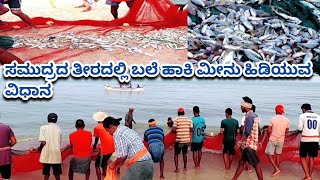 ಸಮುದ್ರದ ತೀರದಲ್ಲಿ ಬಲೆ ಹಾಕಿ ಮೀನು ಹಿಡಿಯುವ ವಿಧಾನ | fishing | fishing blog