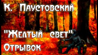 "Чудо природы"  Из очерка К. Паустовского "Желтый свет"  Мультфильм со смыслом 🎧 Аудиокнига ENG SUB