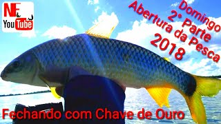 ABERTURA DA PESCA 2018!!! PORTO RICO Rio Paraná!! Pescaria. (NF)