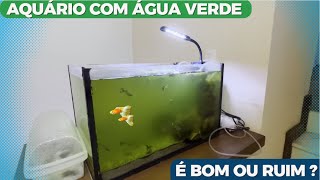 AQUÁRIO DE GUPPYS COBRA COM ÁGUA 100% VERDE. SAÚDE OU PROBLEMAS ?