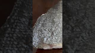 Fish Skin And Boiling Water #shorts #trending #viral #youtubeshorts #shortsfeed #seafood