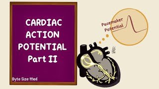 Sinoatrial Node Potential | Pacemaker Potential | Cardiac Action Potential 2 | Cardiac Physiology