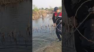 Big murrel fishing #fishing #trending #shortvideo #shorts