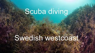 Scuba Diving - The Swedish West Coast