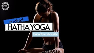 Cours de Hatha Yoga en direct et gratuit