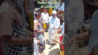 Bali di Lampung: Budaya Adat yang Menakjubkan