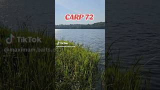 #carpfishing2024 #fishing #fishing2024 #fypシ゚viral #fypyoutube