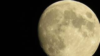 The moon from our garden tonight