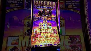 Hand Pay Jackpot On Buffalo Ascension 🦬💰! STAMPEDE!!!!! #shorts #shortsvideo #buffaloascension