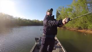 Stones River Fishing trying out WOO! Tungsten Ned Rig