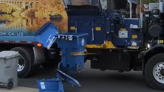 I set out THREE lids on my trash can and this is what happened!