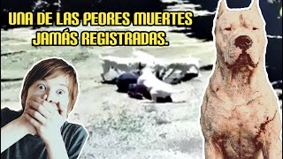 ¡¡¡IMPACTANTE!!! ESTO PASA CUANDO RAZAS PODEROSAS ATACAN AL SER HUMANO.