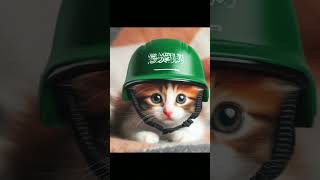 Jika bendera Arab Saudi jadi helm