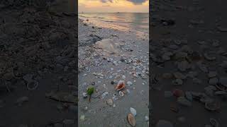 Beautiful sunrise over the beach at Sanibel Island, Florida with calming wave sounds #beachsounds