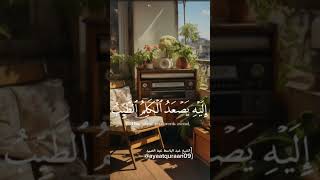 من كان يريد العزة #عبدالباسط_عبدالصمد #quran #muslim #القران_الكريم #تلاوة_خاشعة #قران #مسلم