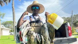 Wade Fishing For BlackDrum INSANE BITE !! Pt 2 {different view}