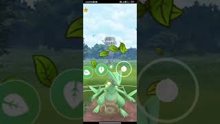 Half Hp sceptile Destroy tem rocket in Pokemon go