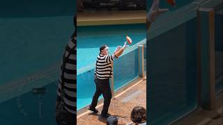 Мим Том демонстрирует талант в баскетболе 🏀😂🤣 #tomthemime #seaworldmime #seaworldorlando #funny