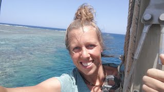 This is why we really like to moor behind a reef #DayVlog32