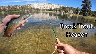 THE BEST PLACE TO FISH IN YOSEMITE