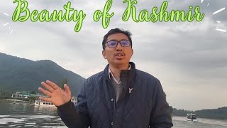 Mp ladakh jamyang tsering namgyal visit to Dal lake Kashmir || talking about beauty of jannat