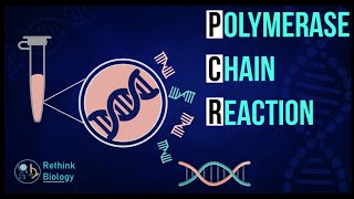 PCR - POLYMERASE CHAIN REACTION