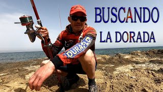 SURFCASTING BUSCANDO LA DORADA con Cangrejo y Americana