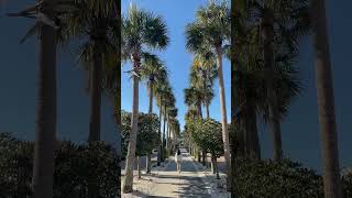 morning walks 🌴 #travel #florida #alysbeach #destinflorida #panamacitybeachflorida #beach #morning