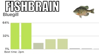 Fishbrain Pro App BiteTime Test (Suprising)