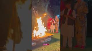 Holika dahan 🔥🪔♥️ #holi #holispecial #holikadahan #shilpashetty #shorts #viral #youtubeindia