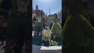 These topiaries of Belle and Beast are truly timeless  🌹#beautyandthebeast #disney #epcot #batb