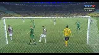 Fluminense 1 x 4 Chapecoense - Gol Contra Rafael Lima - Brasileirão 2014 - 20/11/2014