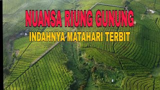 NUANSA RIUNG GUNUNG || MENIKMATI SUASANA PAGI HARI NUANSA RIUNG GUNUNG PANGALENGAN BANDUNG #sunrise