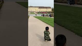 Bluhendes Barock | Ludwigsburg Residential Palace | #shorts  #garden #palace #ludwigsburg #castle