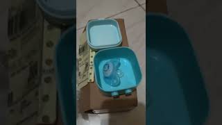 Unboxing Dot Dentistar Curved Shield Double Night Pacifier Orthodontic 0-6months Size 1 + Steril Box