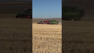 Wheat harvest 2k24 pt.11