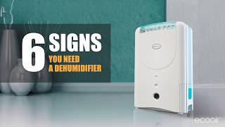 EcoAir - 6 Signs You Need a Dehumidifier