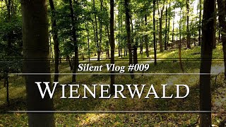 🇦🇹 Schwarzberg / Wienerwald | Silent Vlog #009