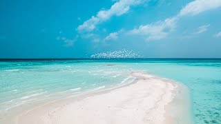 Sand Bar Cinematic Drone Video | Interactive