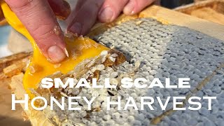 Small scale Honey Harvest